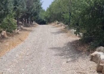 اعتبار نقدی 310 میلیون تومانی برای مشارکت کنندگان در پروژه بین المللی گردشگری