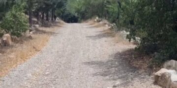 اعتبار نقدی 310 میلیون تومانی برای مشارکت کنندگان در پروژه بین المللی گردشگری