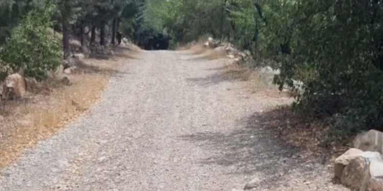 اعتبار نقدی 310 میلیون تومانی برای مشارکت کنندگان در پروژه بین المللی گردشگری